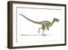 Velociraptor Dinosaur, Artwork-null-Framed Photographic Print