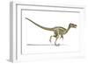 Velociraptor Dinosaur, Artwork-null-Framed Photographic Print