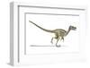 Velociraptor Dinosaur, Artwork-null-Framed Photographic Print