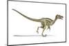 Velociraptor Dinosaur, Artwork-null-Mounted Photographic Print