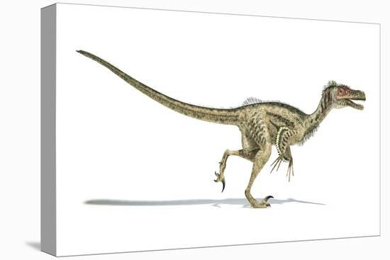 Velociraptor Dinosaur, Artwork-null-Stretched Canvas