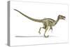 Velociraptor Dinosaur, Artwork-null-Stretched Canvas