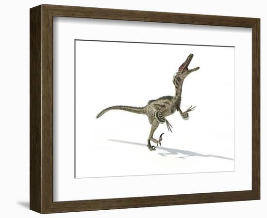 Velociraptor Dinosaur, Artwork-null-Framed Photographic Print