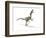 Velociraptor Dinosaur, Artwork-null-Framed Photographic Print