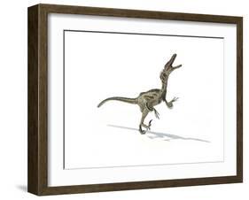 Velociraptor Dinosaur on White Background-null-Framed Art Print