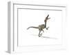 Velociraptor Dinosaur on White Background-null-Framed Art Print