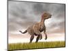 Velociraptor Dinosaur Standing in the Yellow Grass-null-Mounted Art Print