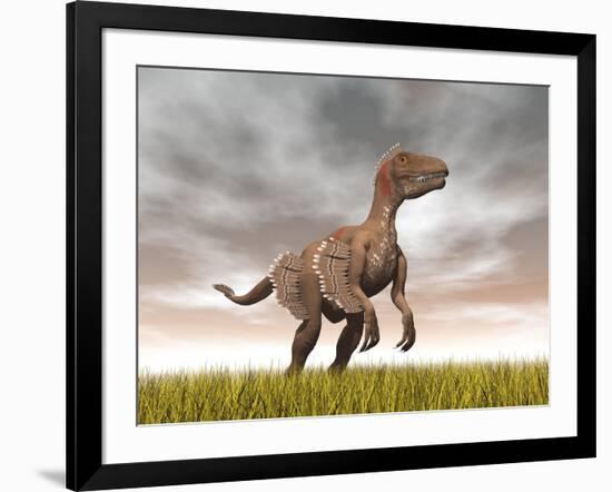 Velociraptor Dinosaur Standing in the Yellow Grass-null-Framed Art Print