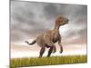 Velociraptor Dinosaur Standing in the Yellow Grass-null-Mounted Art Print