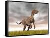 Velociraptor Dinosaur Standing in the Yellow Grass-null-Framed Stretched Canvas