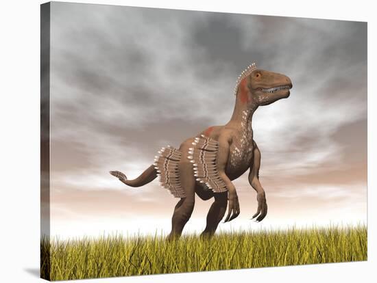 Velociraptor Dinosaur Standing in the Yellow Grass-null-Stretched Canvas