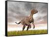 Velociraptor Dinosaur Standing in the Yellow Grass-null-Framed Stretched Canvas