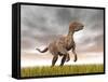 Velociraptor Dinosaur Standing in the Yellow Grass-null-Framed Stretched Canvas