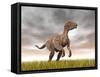 Velociraptor Dinosaur Standing in the Yellow Grass-null-Framed Stretched Canvas