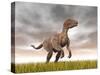 Velociraptor Dinosaur Standing in the Yellow Grass-null-Stretched Canvas