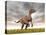 Velociraptor Dinosaur Standing in the Yellow Grass-null-Stretched Canvas