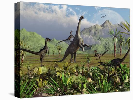 Velociraptor Dinosaurs Attack a Camarasaurus for their Next Meal-Stocktrek Images-Stretched Canvas