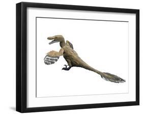 Velociraptor Mongoliensis, Late Cretaceous of Mongolia-null-Framed Art Print