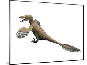 Velociraptor Mongoliensis, Late Cretaceous of Mongolia-null-Mounted Art Print