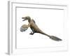 Velociraptor Mongoliensis, Late Cretaceous of Mongolia-null-Framed Art Print