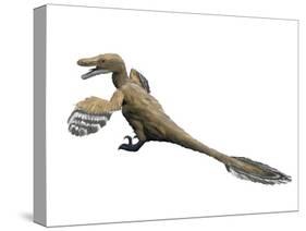 Velociraptor Mongoliensis, Late Cretaceous of Mongolia-null-Stretched Canvas