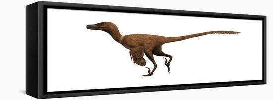 Velociraptor Mongoliensis Was a Mid-Sized Dinosaur from the Cretaceous Period-null-Framed Stretched Canvas