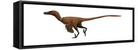 Velociraptor Mongoliensis Was a Mid-Sized Dinosaur from the Cretaceous Period-null-Framed Stretched Canvas