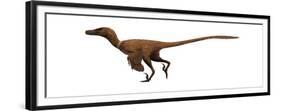 Velociraptor Mongoliensis Was a Mid-Sized Dinosaur from the Cretaceous Period-null-Framed Premium Giclee Print