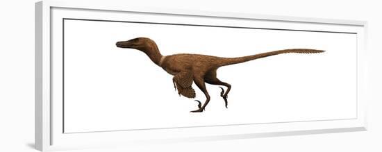 Velociraptor Mongoliensis Was a Mid-Sized Dinosaur from the Cretaceous Period-null-Framed Premium Giclee Print