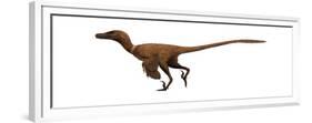 Velociraptor Mongoliensis Was a Mid-Sized Dinosaur from the Cretaceous Period-null-Framed Premium Giclee Print