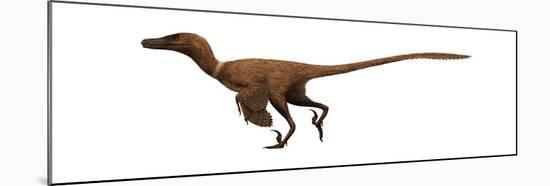 Velociraptor Mongoliensis Was a Mid-Sized Dinosaur from the Cretaceous Period-null-Mounted Art Print