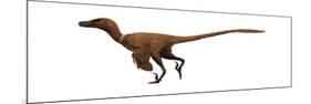 Velociraptor Mongoliensis Was a Mid-Sized Dinosaur from the Cretaceous Period-null-Mounted Art Print