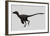 Velociraptor Mongoliensis Was a Mid-Sized Dinosaur from the Cretaceous Period-null-Framed Art Print