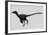 Velociraptor Mongoliensis Was a Mid-Sized Dinosaur from the Cretaceous Period-null-Framed Art Print