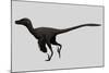 Velociraptor Mongoliensis Was a Mid-Sized Dinosaur from the Cretaceous Period-null-Mounted Art Print