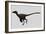 Velociraptor Mongoliensis Was a Mid-Sized Dinosaur from the Cretaceous Period-null-Framed Art Print