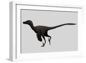 Velociraptor Mongoliensis Was a Mid-Sized Dinosaur from the Cretaceous Period-null-Framed Art Print