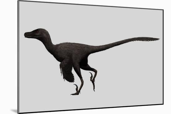 Velociraptor Mongoliensis Was a Mid-Sized Dinosaur from the Cretaceous Period-null-Mounted Art Print