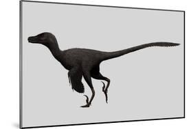 Velociraptor Mongoliensis Was a Mid-Sized Dinosaur from the Cretaceous Period-null-Mounted Art Print