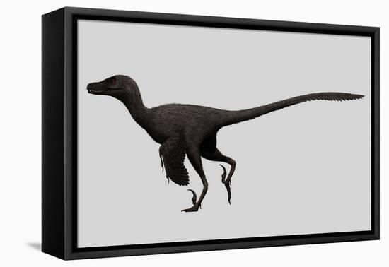 Velociraptor Mongoliensis Was a Mid-Sized Dinosaur from the Cretaceous Period-null-Framed Stretched Canvas