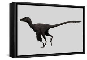 Velociraptor Mongoliensis Was a Mid-Sized Dinosaur from the Cretaceous Period-null-Framed Stretched Canvas