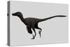 Velociraptor Mongoliensis Was a Mid-Sized Dinosaur from the Cretaceous Period-null-Stretched Canvas