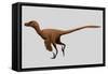 Velociraptor Mongoliensis Was a Mid-Sized Dinosaur from the Cretaceous Period-null-Framed Stretched Canvas