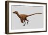 Velociraptor Mongoliensis Was a Mid-Sized Dinosaur from the Cretaceous Period-null-Framed Premium Giclee Print