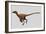 Velociraptor Mongoliensis Was a Mid-Sized Dinosaur from the Cretaceous Period-null-Framed Premium Giclee Print