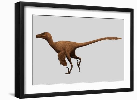 Velociraptor Mongoliensis Was a Mid-Sized Dinosaur from the Cretaceous Period-null-Framed Premium Giclee Print