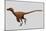 Velociraptor Mongoliensis Was a Mid-Sized Dinosaur from the Cretaceous Period-null-Mounted Premium Giclee Print