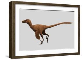 Velociraptor Mongoliensis Was a Mid-Sized Dinosaur from the Cretaceous Period-null-Framed Art Print