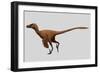Velociraptor Mongoliensis Was a Mid-Sized Dinosaur from the Cretaceous Period-null-Framed Art Print