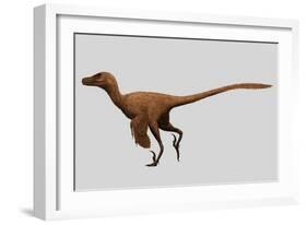 Velociraptor Mongoliensis Was a Mid-Sized Dinosaur from the Cretaceous Period-null-Framed Art Print